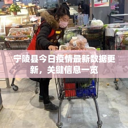 2025年6月25日 第10页