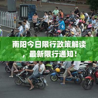 2025年6月25日 第5页