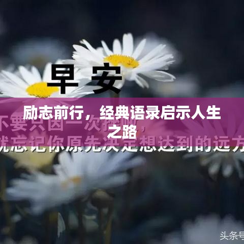 励志前行，经典语录启示人生之路