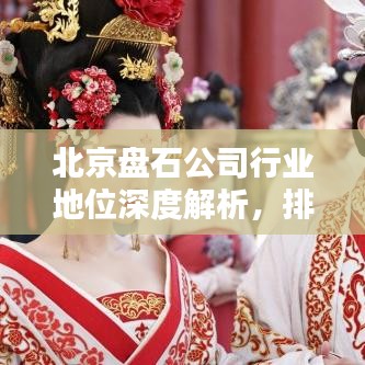 北京盘石公司行业地位深度解析，排名背后的实力与影响力