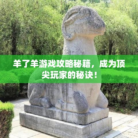 羊了羊游戏攻略秘籍，成为顶尖玩家的秘诀！