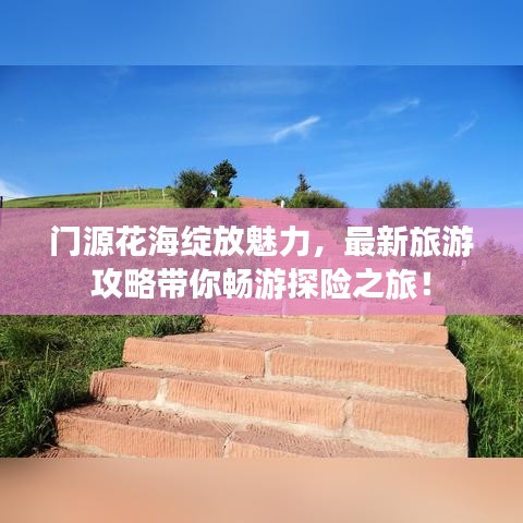 门源花海绽放魅力，最新旅游攻略带你畅游探险之旅！