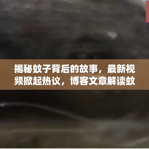 揭秘蚊子背后的故事，最新视频掀起热议，博客文章解读蚊子生态