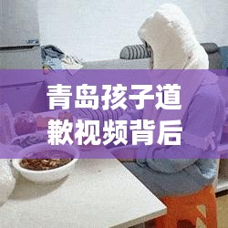 青岛孩子道歉视频背后的教育反思与成长启示