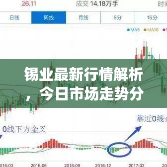 锡业最新行情解析，今日市场走势分析与展望