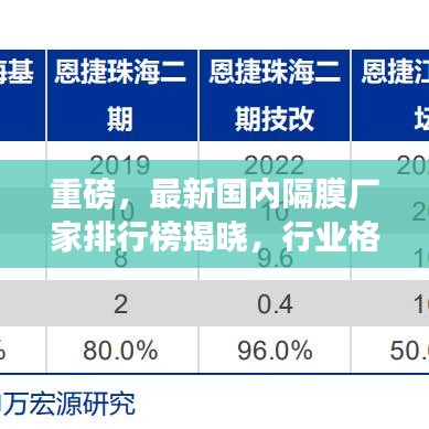 重磅，最新国内隔膜厂家排行榜揭晓，行业格局深度解析！