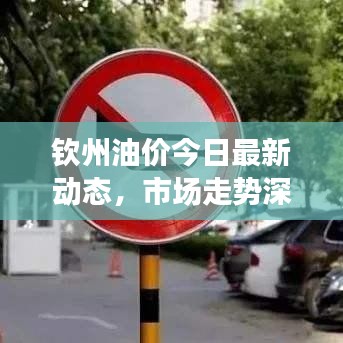 钦州油价今日最新动态，市场走势深度分析与未来预测