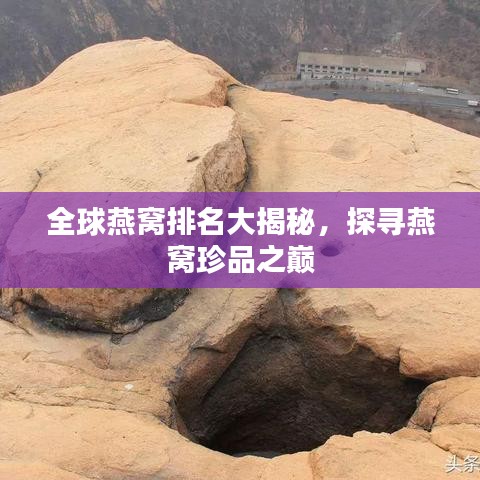 2025年6月26日 第46页