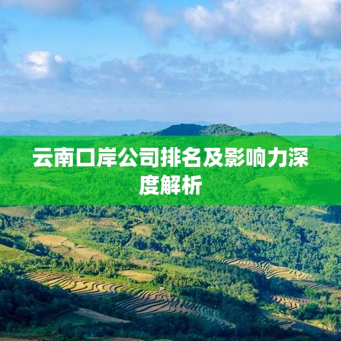 云南口岸公司排名及影响力深度解析