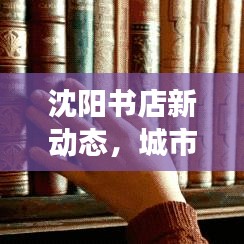 沈阳书店新动态，城市阅读新动向与文化繁荣的见证
