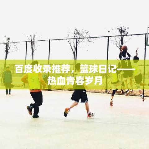 百度收录推荐，篮球日记——热血青春岁月