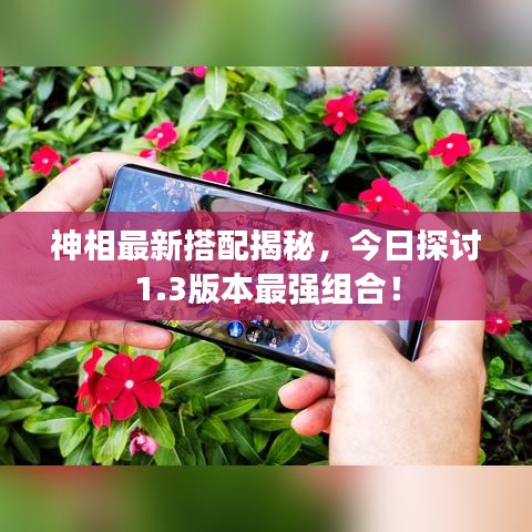 神相最新搭配揭秘，今日探讨1.3版本最强组合！