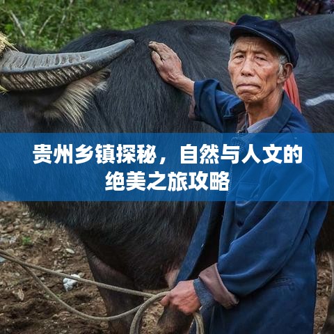 贵州乡镇探秘，自然与人文的绝美之旅攻略