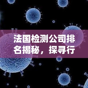 法国检测公司排名揭秘，探寻行业领军者的步伐