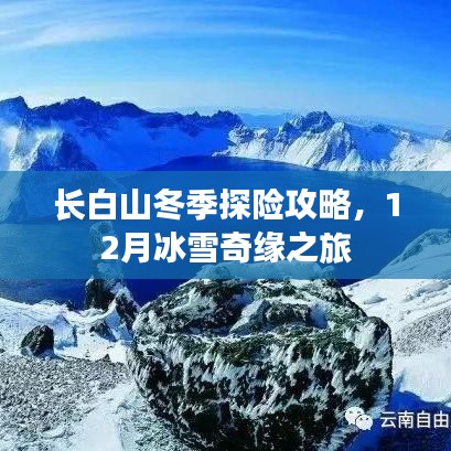 2025年6月26日