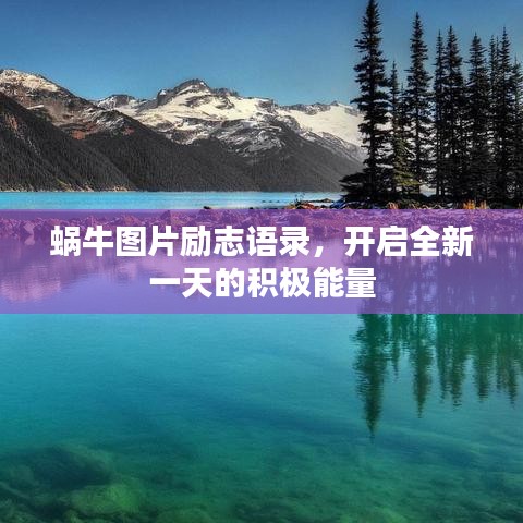 蜗牛图片励志语录，开启全新一天的积极能量