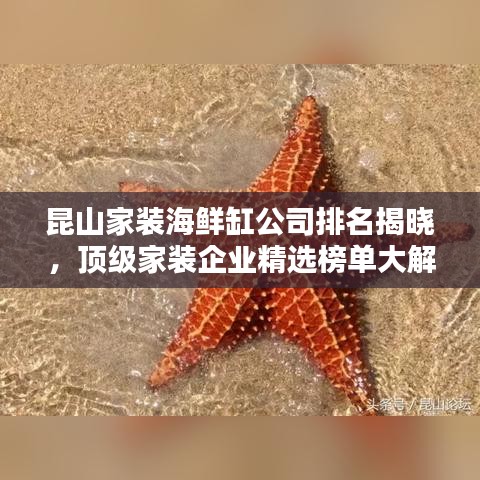 昆山家装海鲜缸公司排名揭晓，顶级家装企业精选榜单大解密！