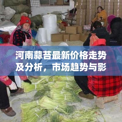 河南蒜苔最新价格走势及分析，市场趋势与影响因素揭秘