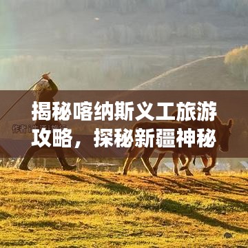 揭秘喀纳斯义工旅游攻略，探秘新疆神秘秘境之旅