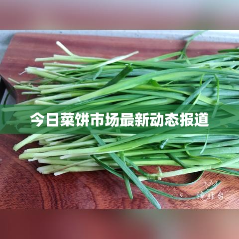 今日菜饼市场最新动态报道