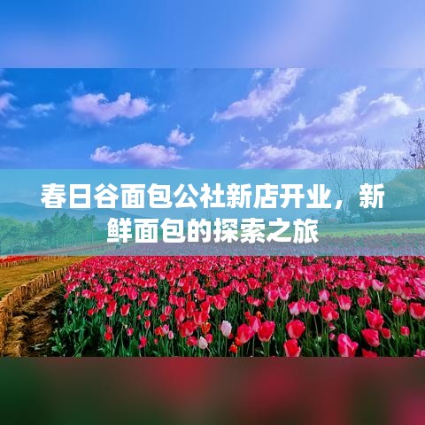 春日谷面包公社新店开业，新鲜面包的探索之旅
