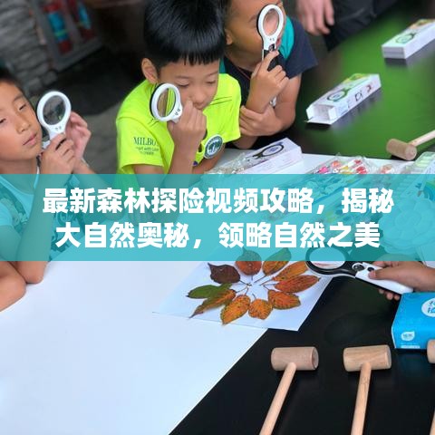 最新森林探险视频攻略，揭秘大自然奥秘，领略自然之美
