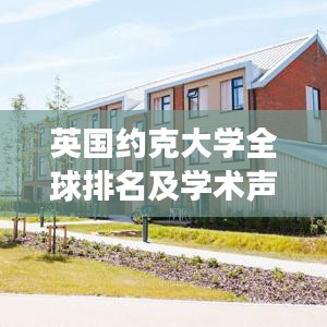 英国约克大学全球排名及学术声誉，卓越实力的见证