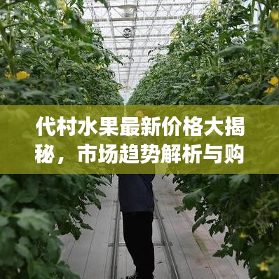 代村水果最新价格大揭秘，市场趋势解析与购买攻略！