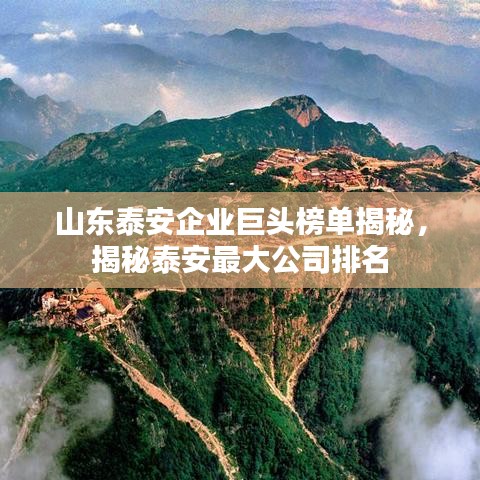 山东泰安企业巨头榜单揭秘，揭秘泰安最大公司排名