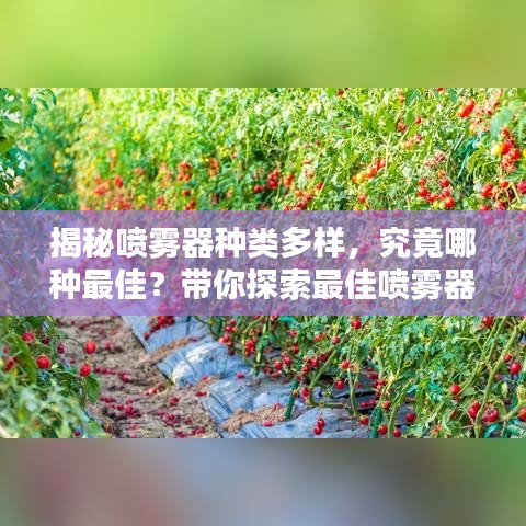 揭秘喷雾器种类多样，究竟哪种最佳？带你探索最佳喷雾器选择！