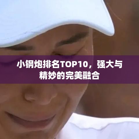 小钢炮排名TOP10，强大与精妙的完美融合