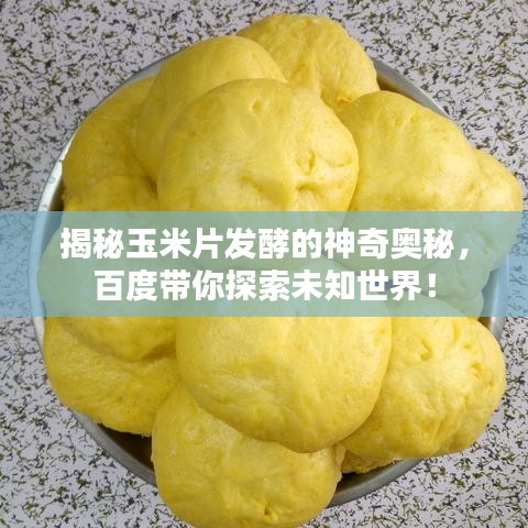 揭秘玉米片发酵的神奇奥秘，百度带你探索未知世界！