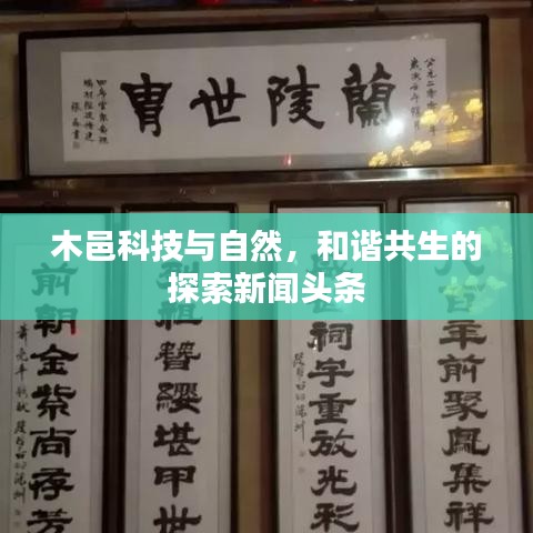 木邑科技与自然，和谐共生的探索新闻头条