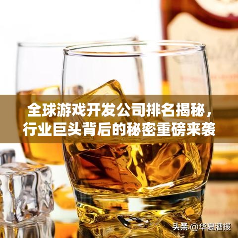 全球游戏开发公司排名揭秘，行业巨头背后的秘密重磅来袭！