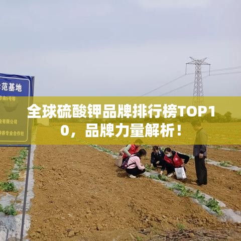全球硫酸钾品牌排行榜TOP10，品牌力量解析！