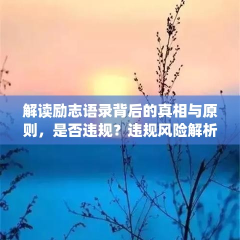 2025年6月27日 第28页