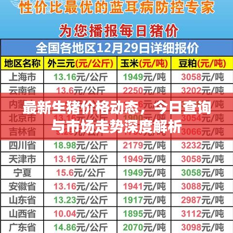 最新生猪价格动态，今日查询与市场走势深度解析