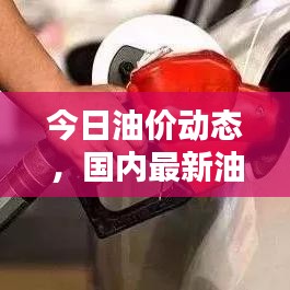 今日油价动态，国内最新油价查询及走势分析与预测