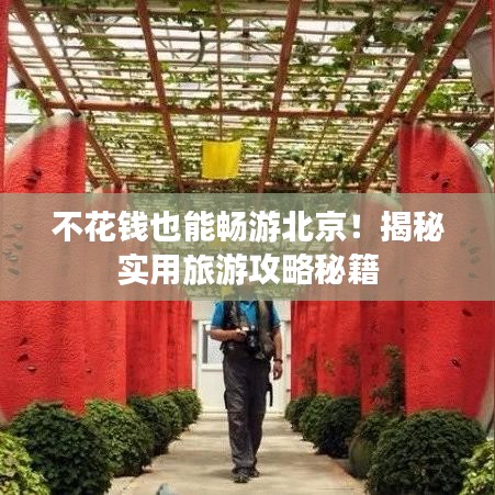 不花钱也能畅游北京！揭秘实用旅游攻略秘籍