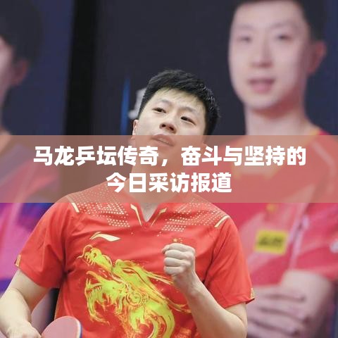 马龙乒坛传奇，奋斗与坚持的今日采访报道