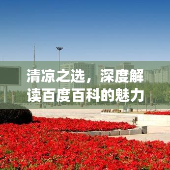 清凉之选，深度解读百度百科的魅力与强大功能