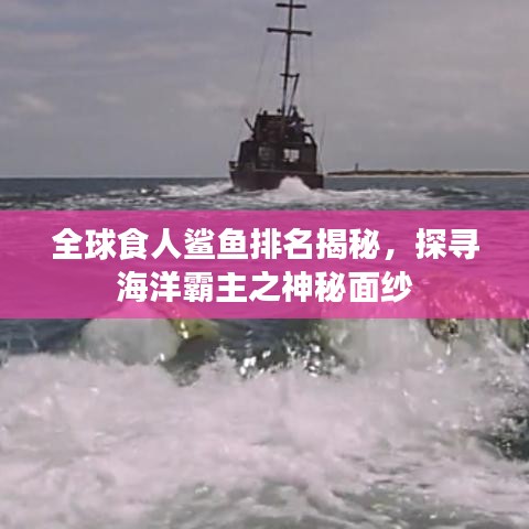 全球食人鲨鱼排名揭秘，探寻海洋霸主之神秘面纱