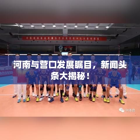 河南与营口发展瞩目，新闻头条大揭秘！