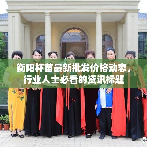 衡阳杯苗最新批发价格动态，行业人士必看的资讯标题