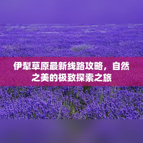 伊犁草原最新线路攻略，自然之美的极致探索之旅