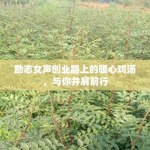 励志女声创业路上的暖心鸡汤，与你并肩前行