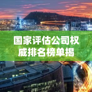 国家评估公司权威排名榜单揭晓，行业领导者一览无余！