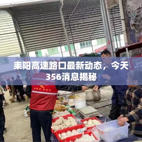 耒阳高速路口最新动态，今天356消息揭秘