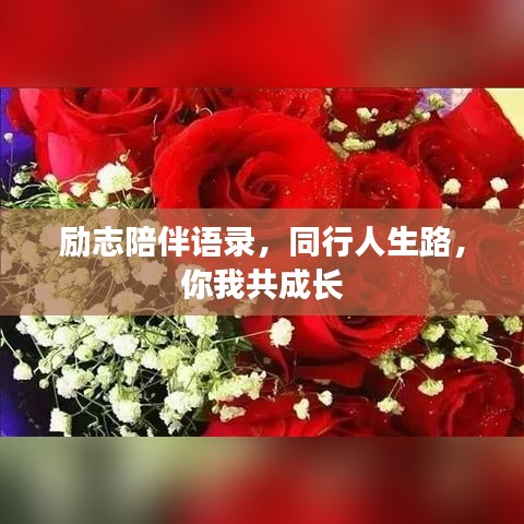 励志陪伴语录，同行人生路，你我共成长