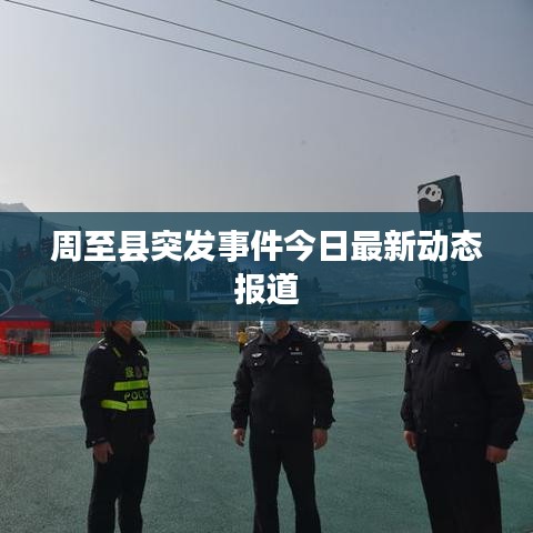 周至县突发事件今日最新动态报道